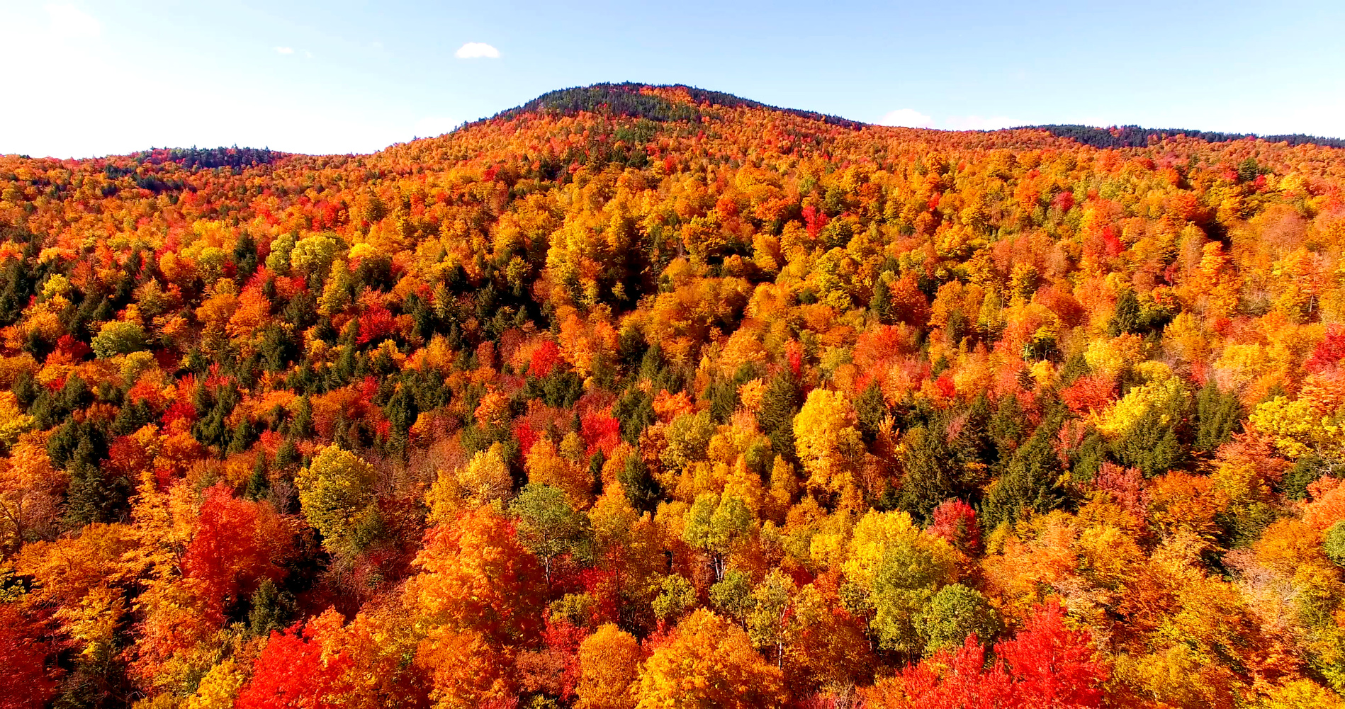 Fall Foliage Amtrak Vacations 