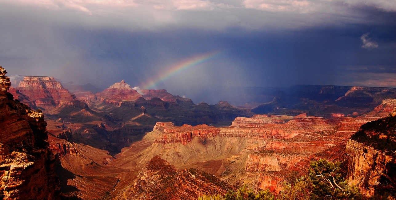 Grand Canyon Rail Getaway from Flagstaff | Amtrak Vacations®