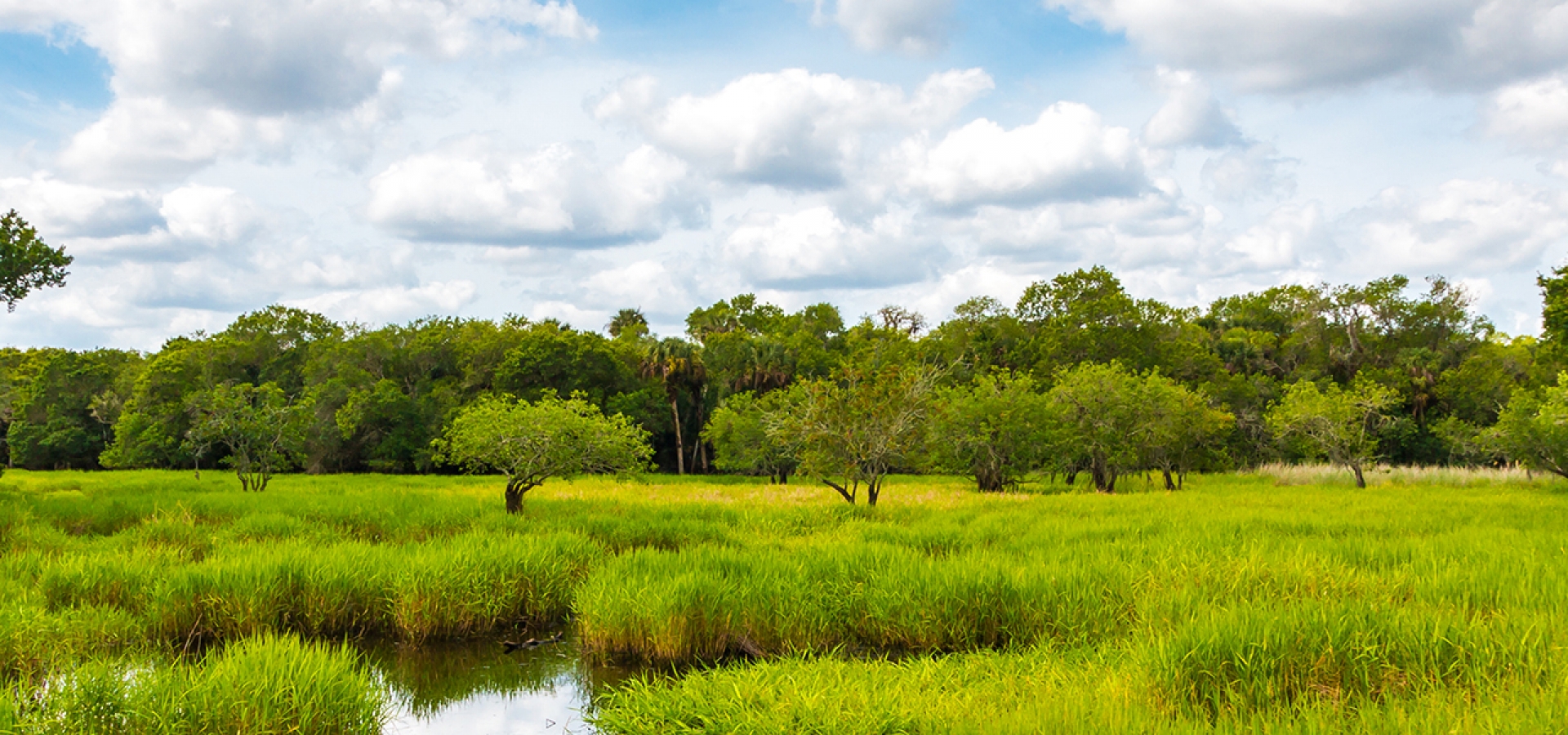 Everglades National Park, Florida