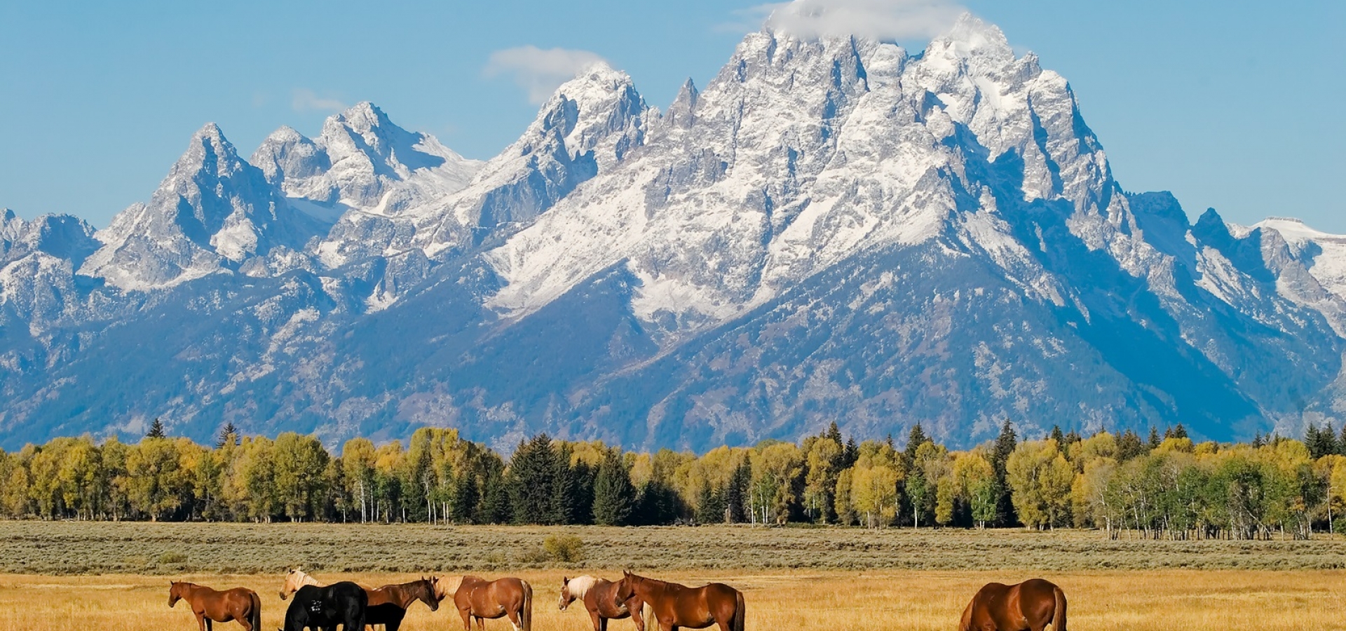 Jackson Hole WY by Rail Amtrak Vacations