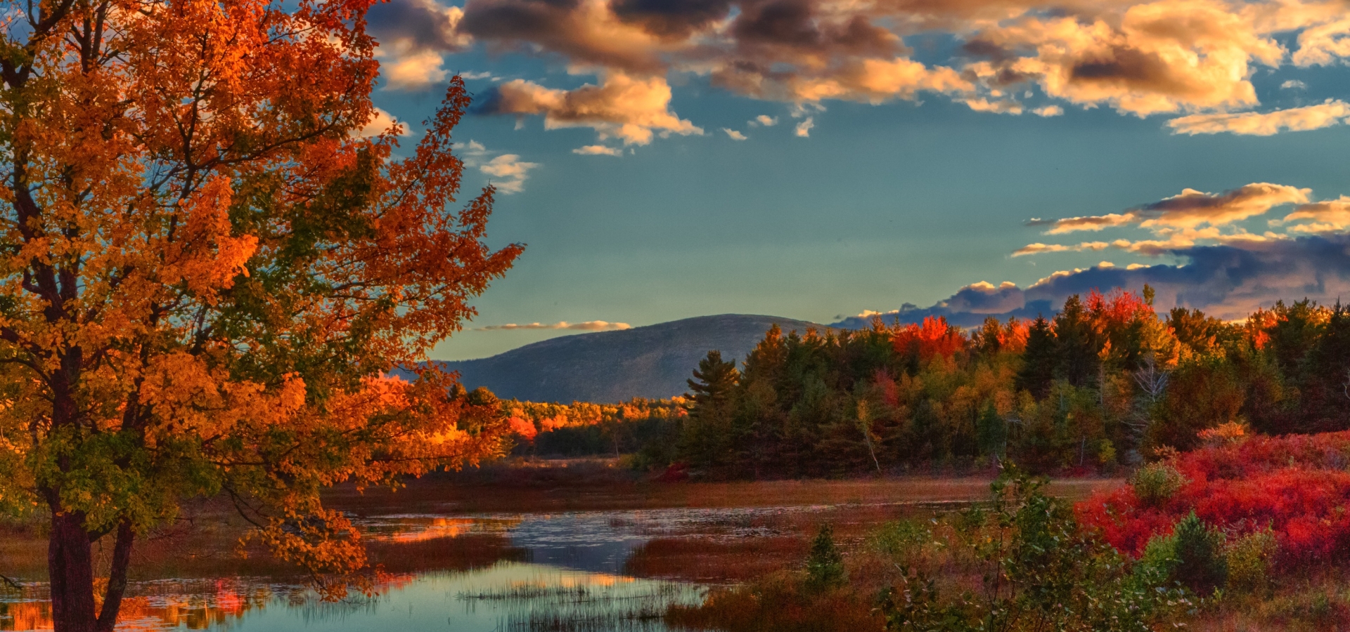 Fall in New England: When & Where to Go